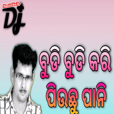 Budi Budi Kari Piuchhu Pani Sambalpuri Dj Remix